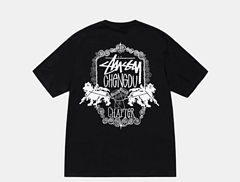 scn / 스투시 남성 반팔 티셔츠