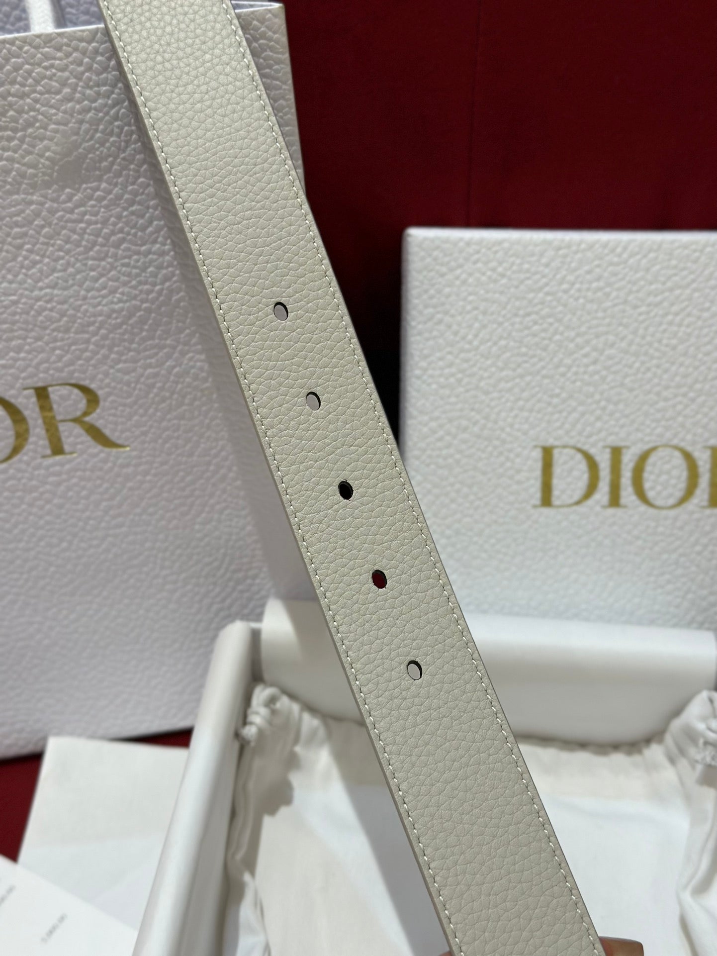 디올 벨트