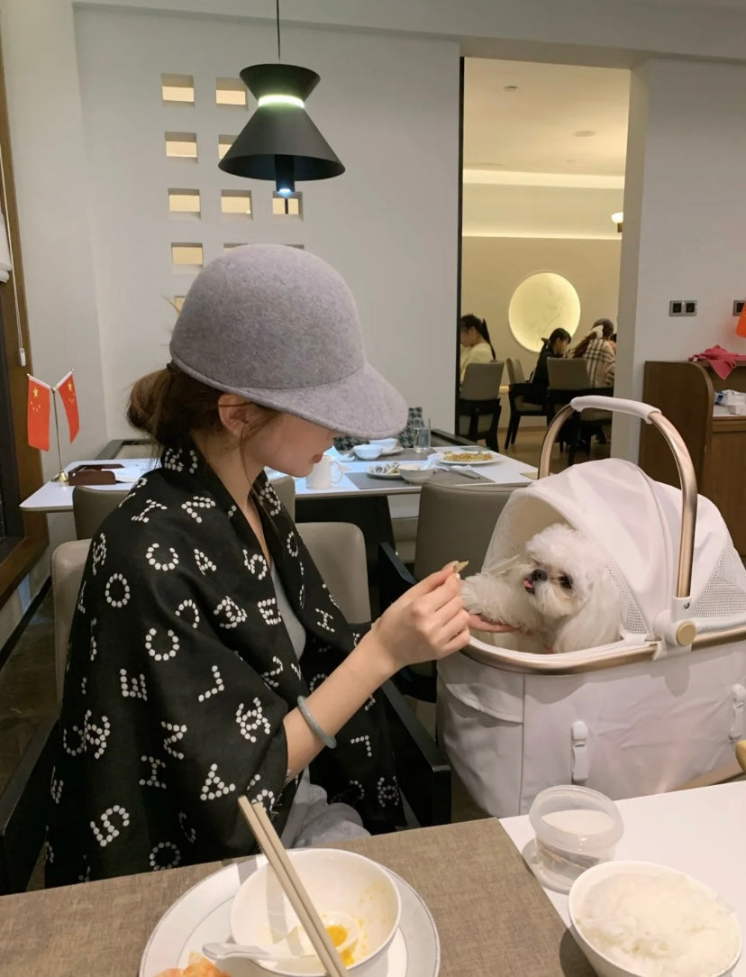 신조 / 샤넬 스카프