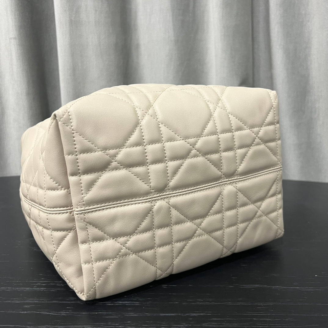 카타 / 디올 세로판 가방