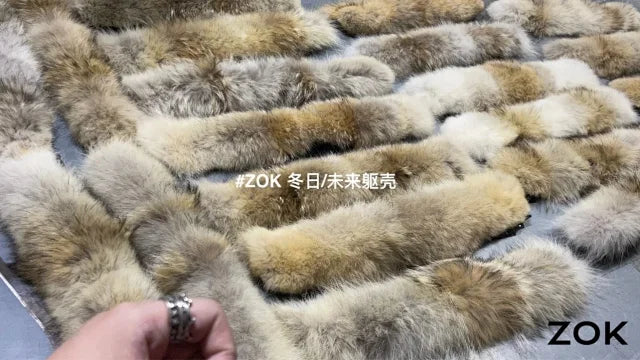 ZOK / 캐나다구스 패딩