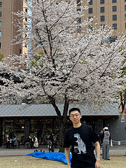 scn / 스투시 남성 여성 반팔 티셔츠