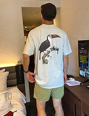 scn / 스투시 남성 반팔 티셔츠