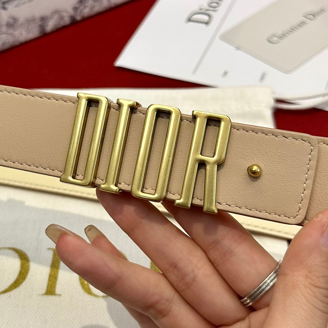 디올 벨트