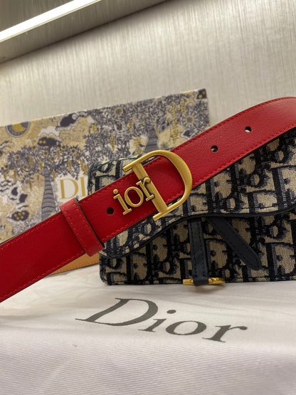여자 디올 벨트