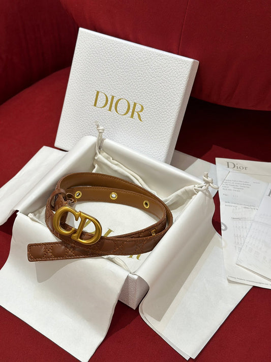 여자 디올 벨트