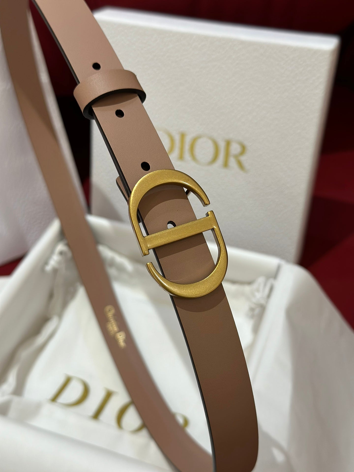 디올 벨트