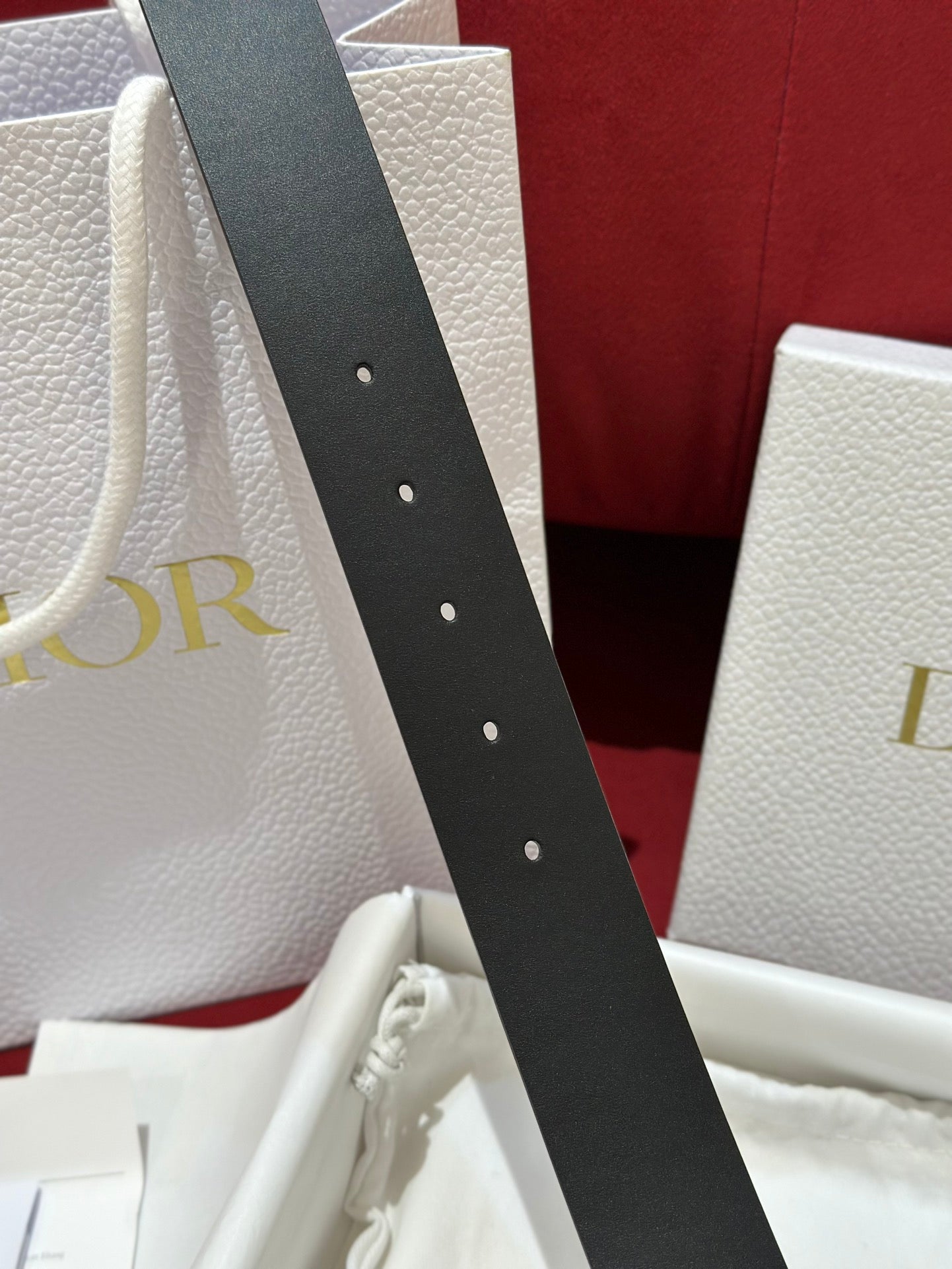 여자 디올 벨트