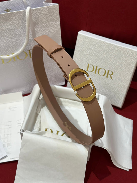 디올 벨트