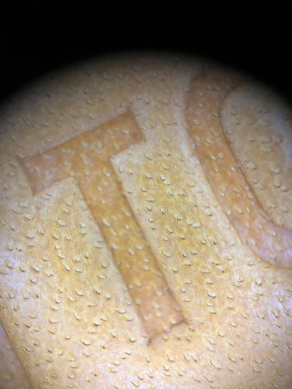 양 공장 / 루이비통 컬러 박스 가방