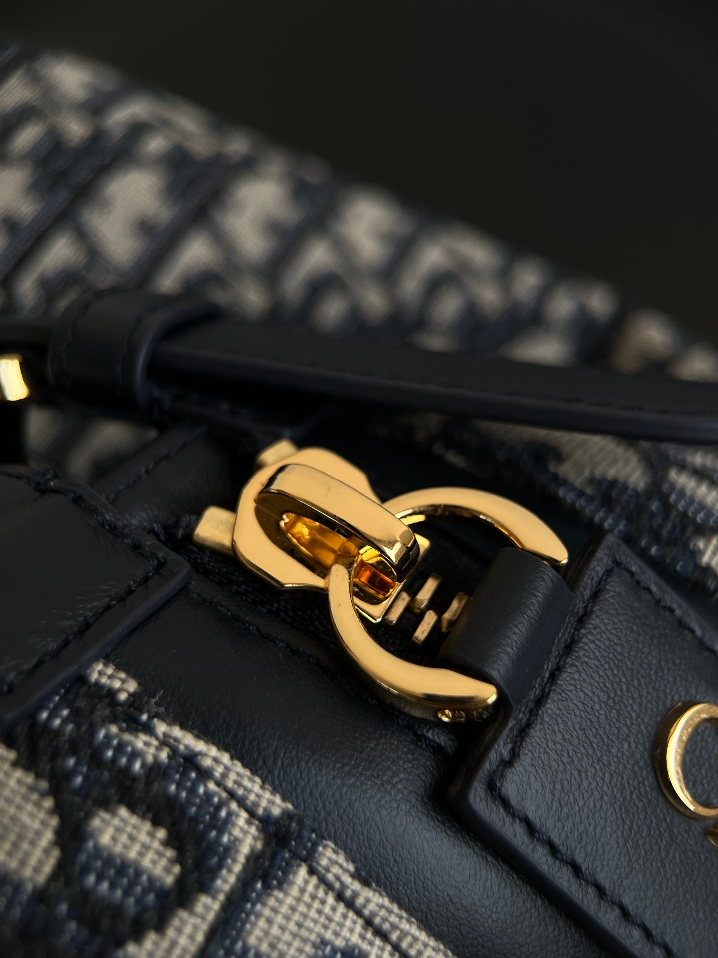 양 공장 / 디올 배낭