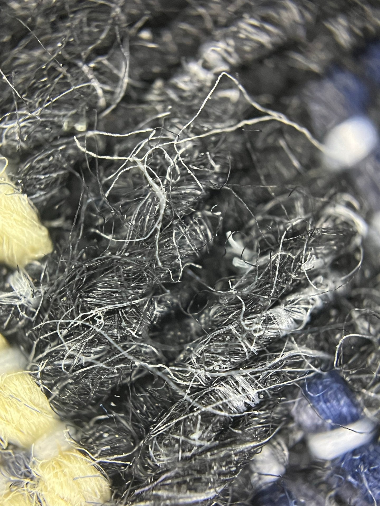 양 공장 / 디올 배낭