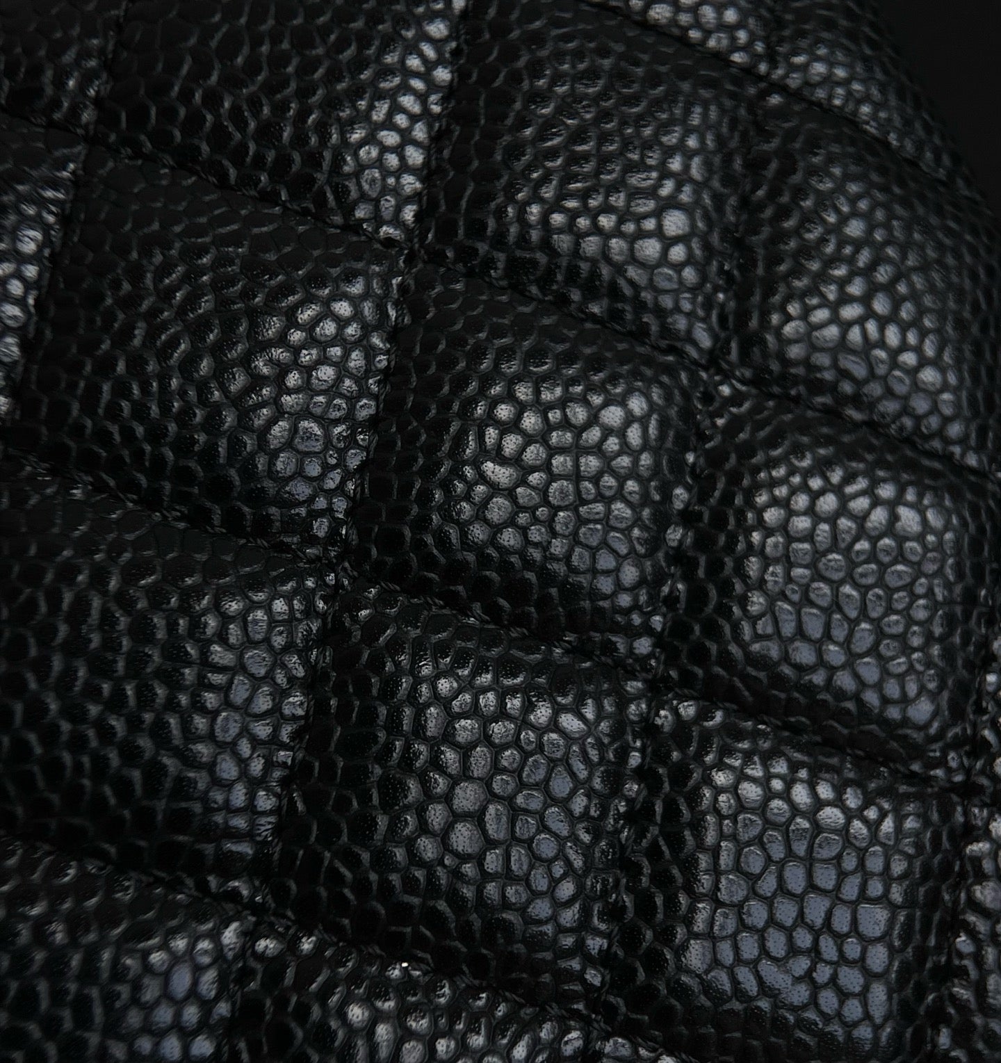 양 공장 / 샤넬 지퍼 동전 지갑