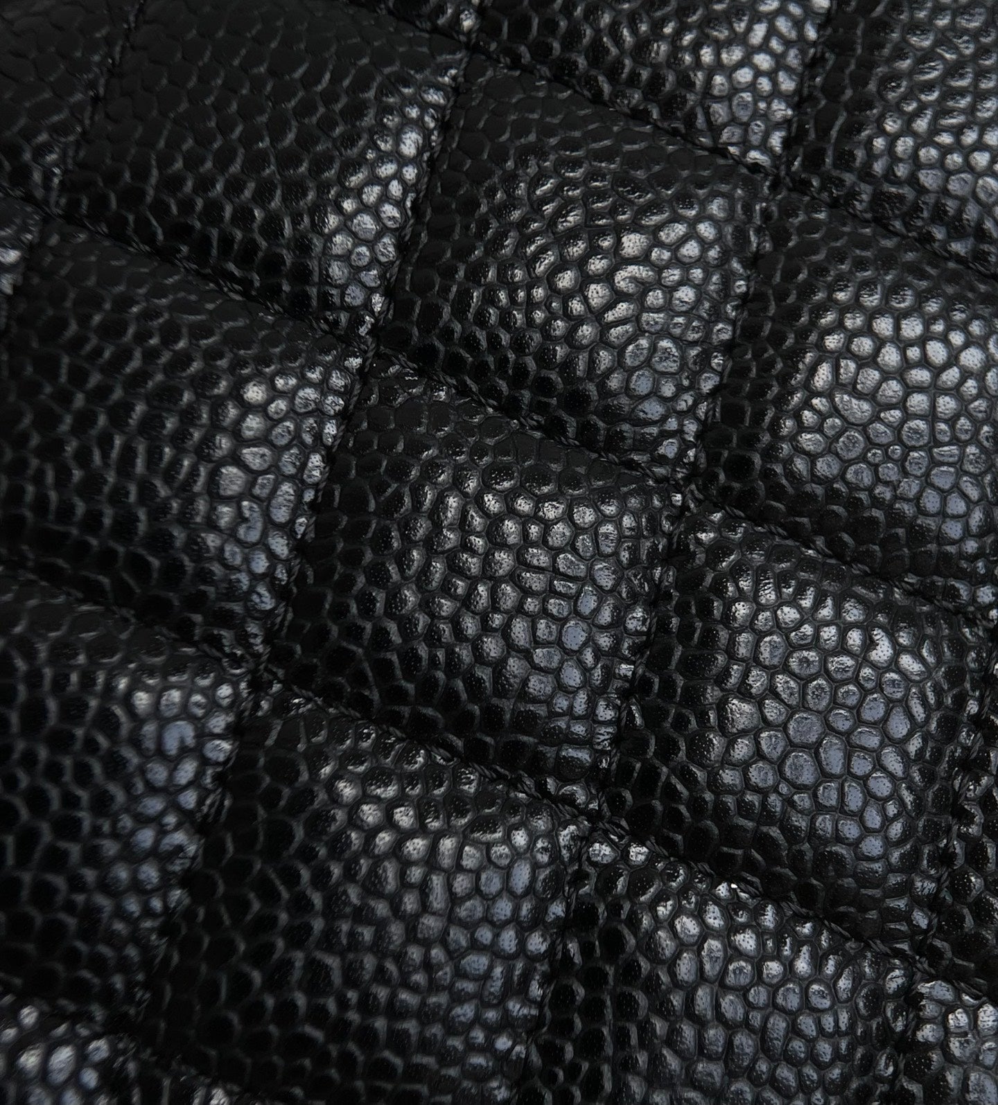 양 공장 / 샤넬 지퍼 동전 지갑