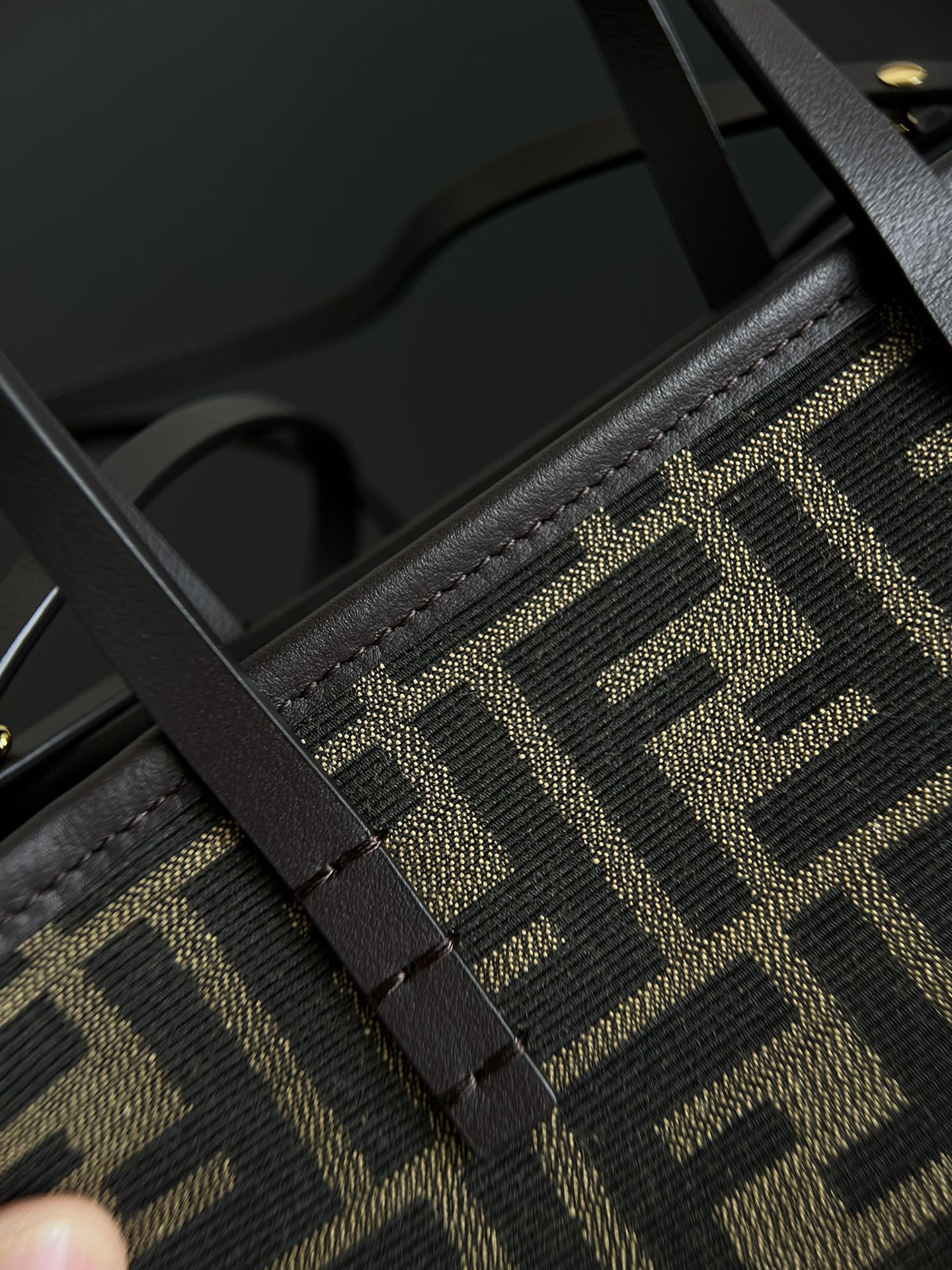 양 공장 / 펜디 스몰 토트백