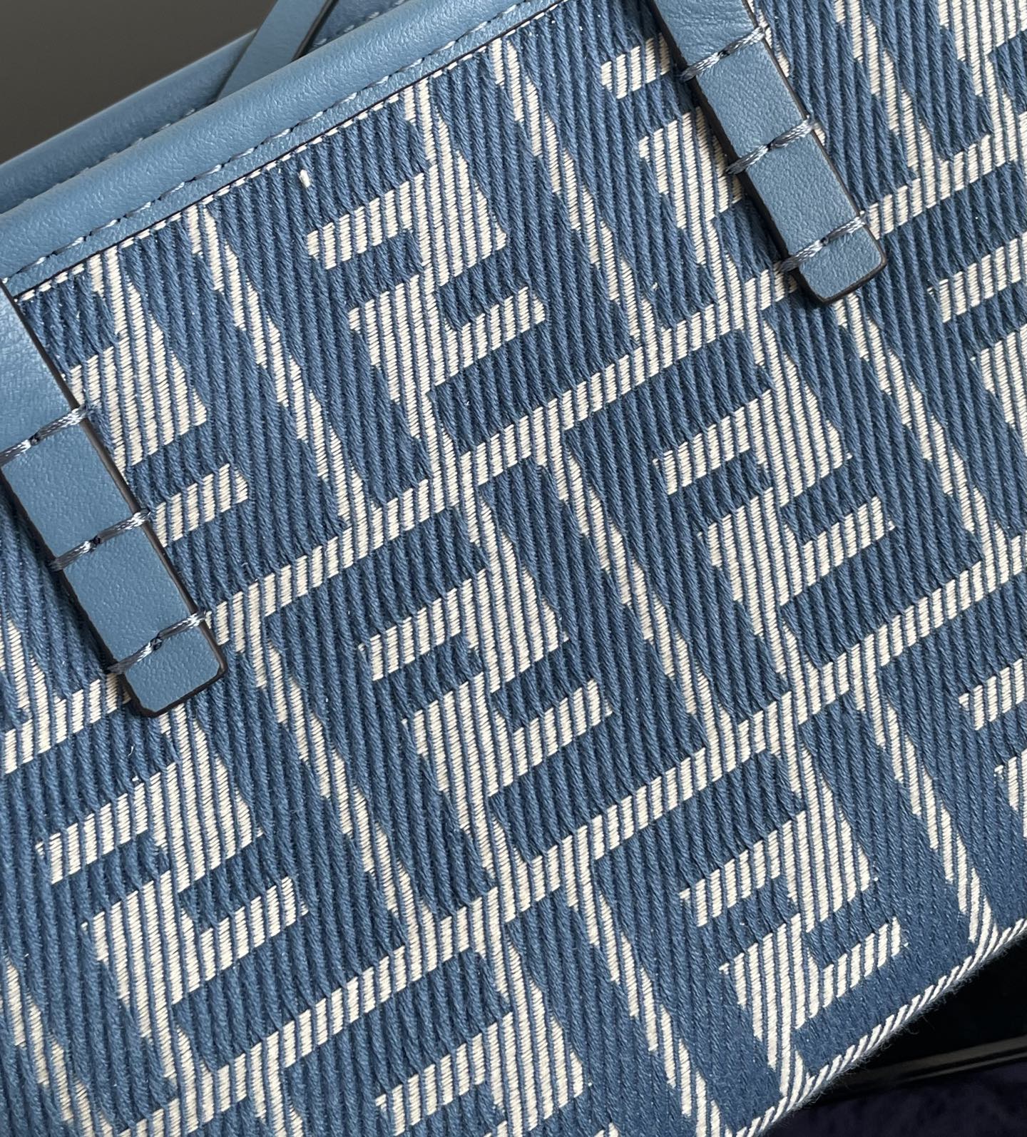 양 공장 / 펜디 스몰 토트백