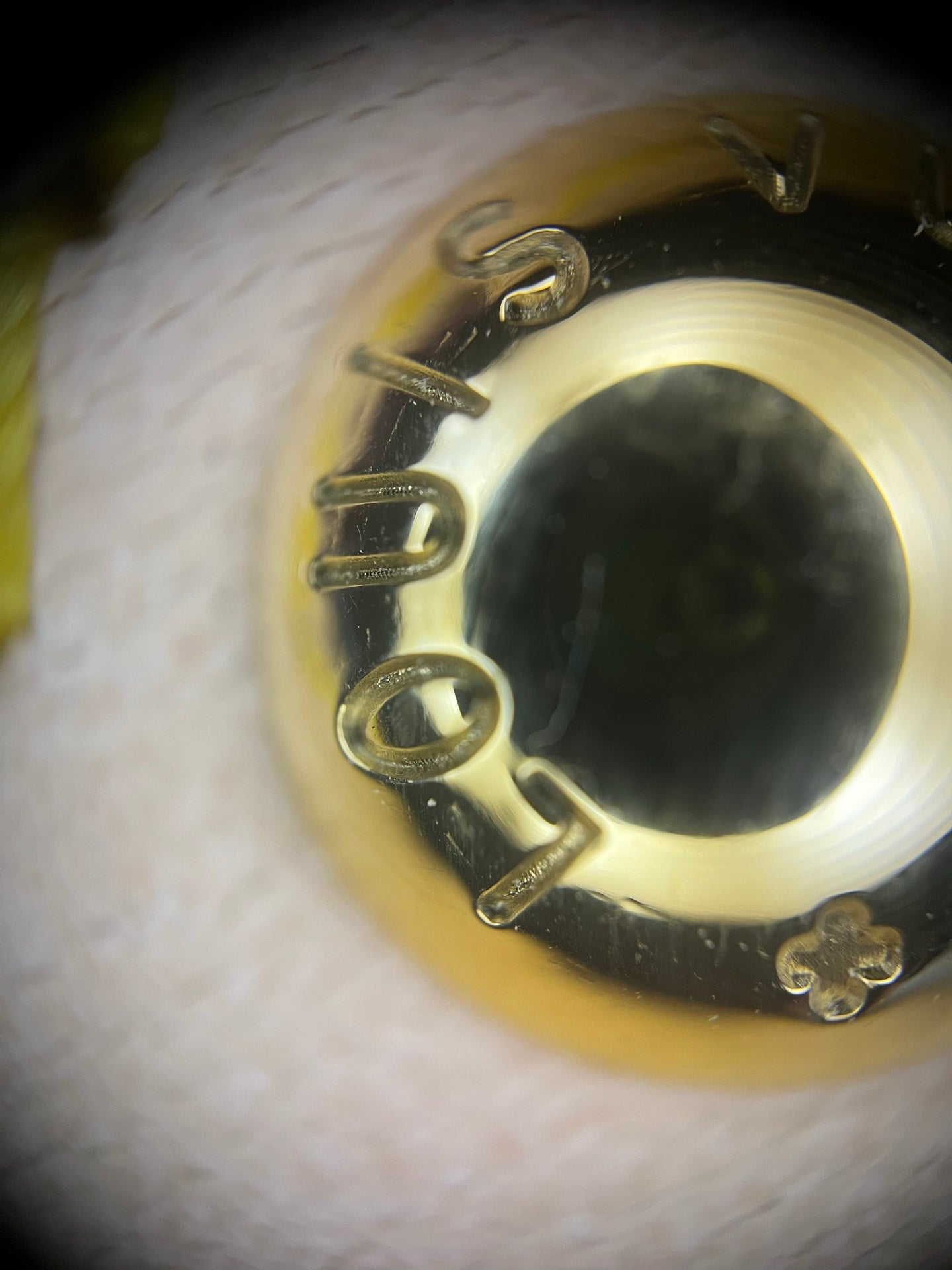 양 공장 / 루이비통 베개 가방