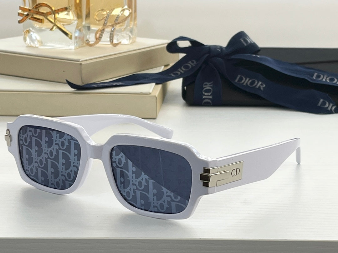 보스 악세사리 / 디올 남성 선글라스