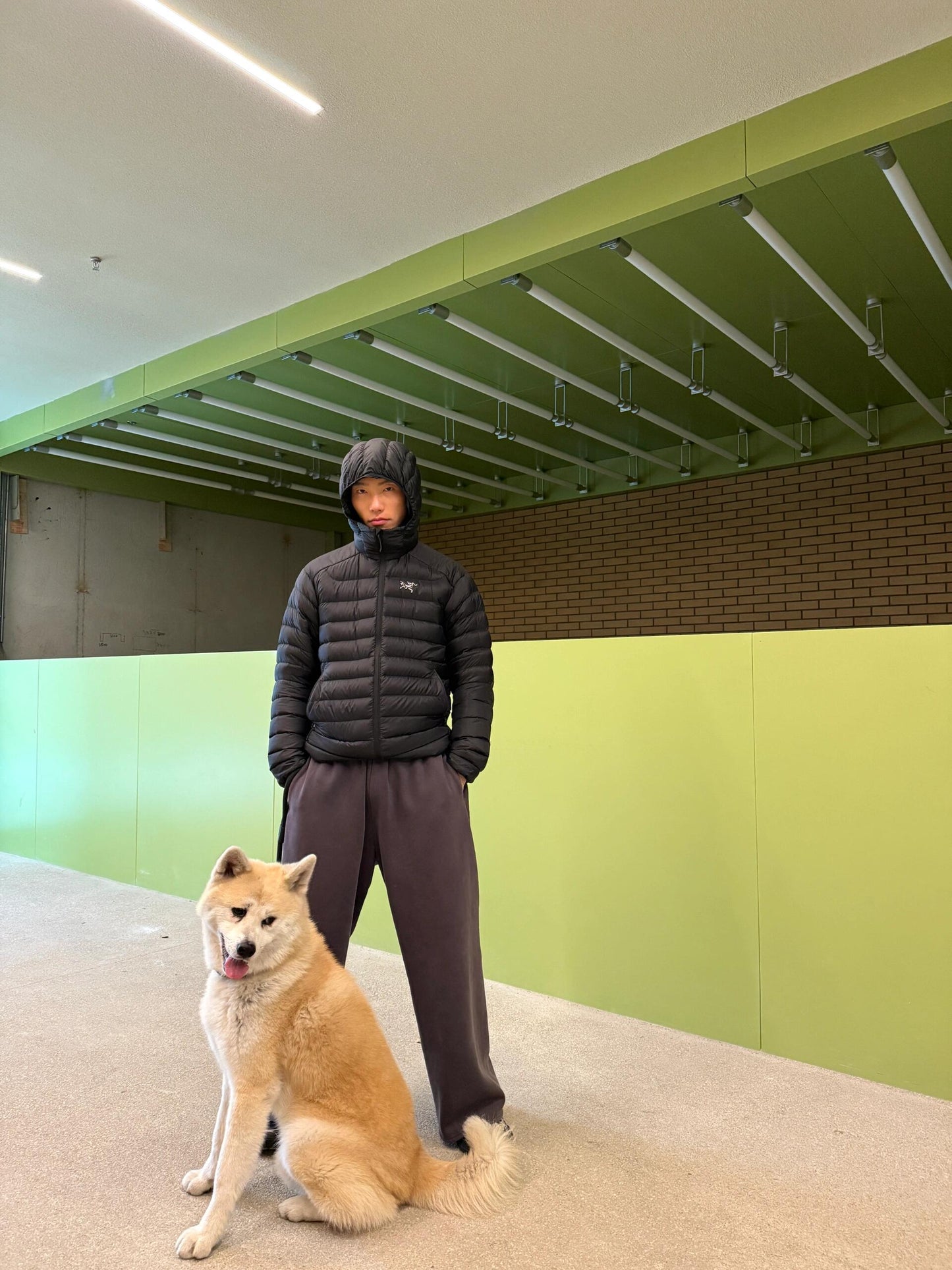 R공장 / 아크테릭스 남성 가벼운 방풍 보온 후드 패딩