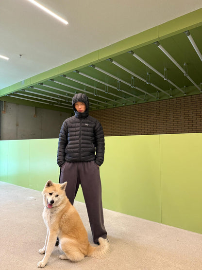 R공장 / 아크테릭스 남성 가벼운 방풍 보온 후드 패딩