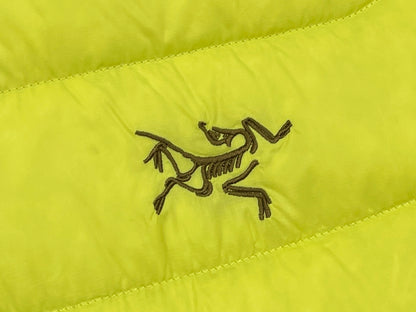 R공장 / 아크테릭스 남성 가벼운 방풍 보온 후드 패딩