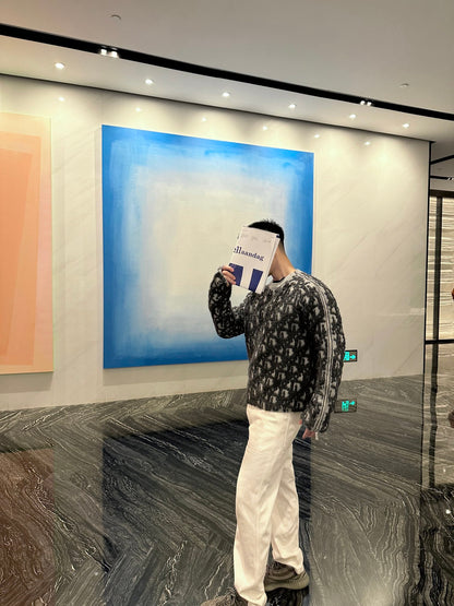 ZZLL / 디올 니트 스웨터