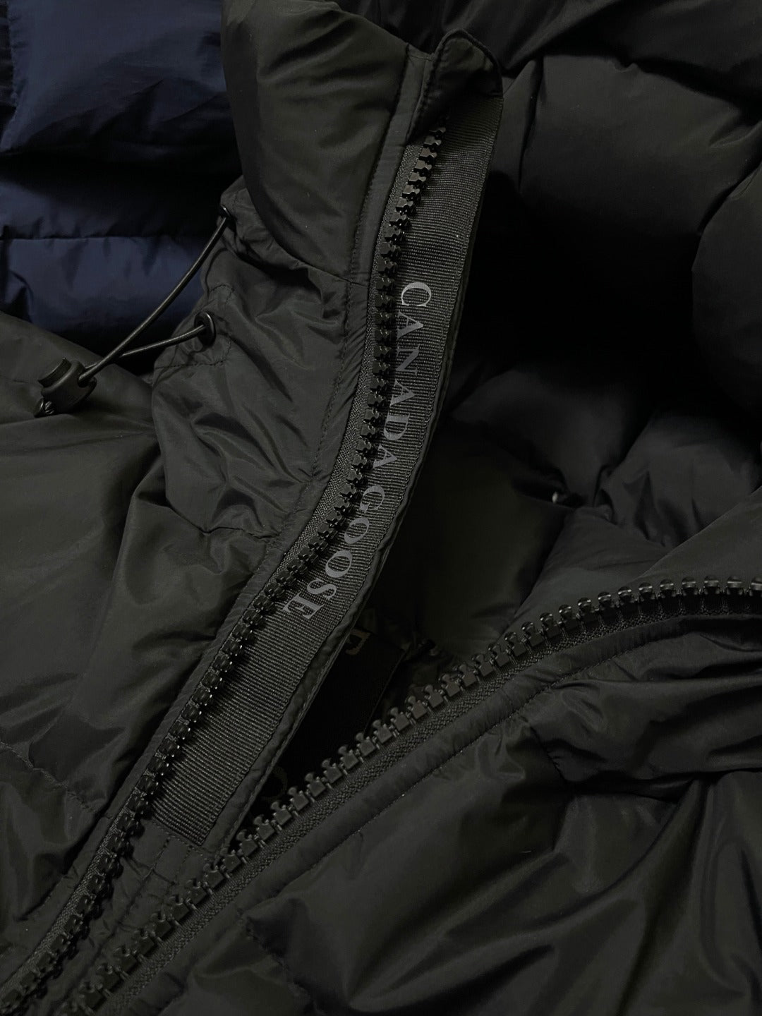 BVG / 캐나다구스 패딩