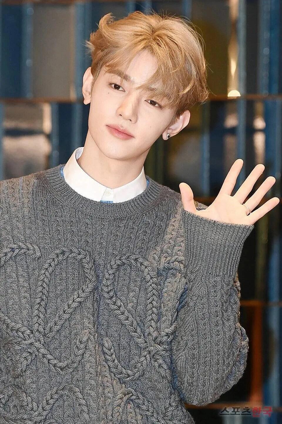 BVG / 로에베 니트 스웨터