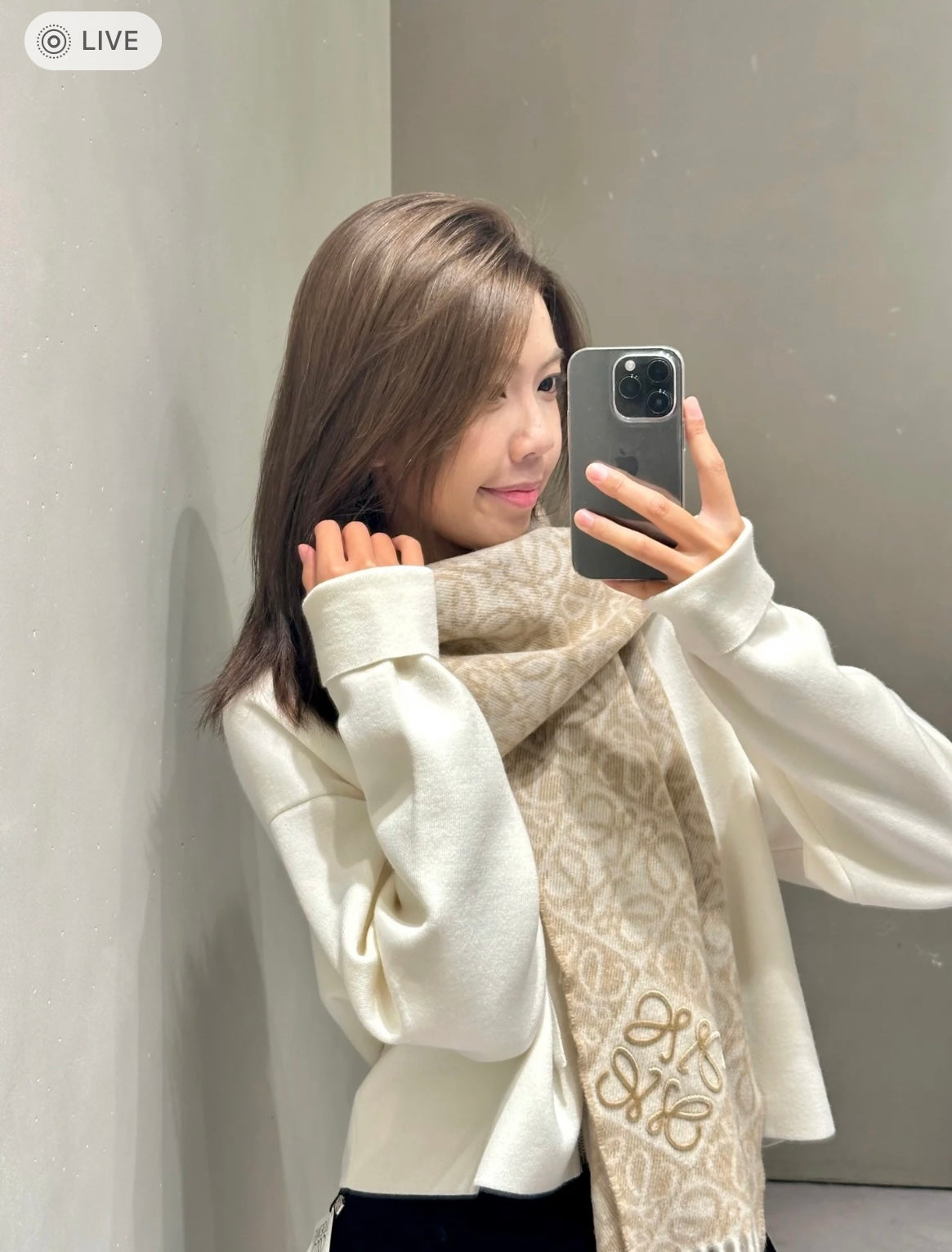 신조 / 로에베 스카프