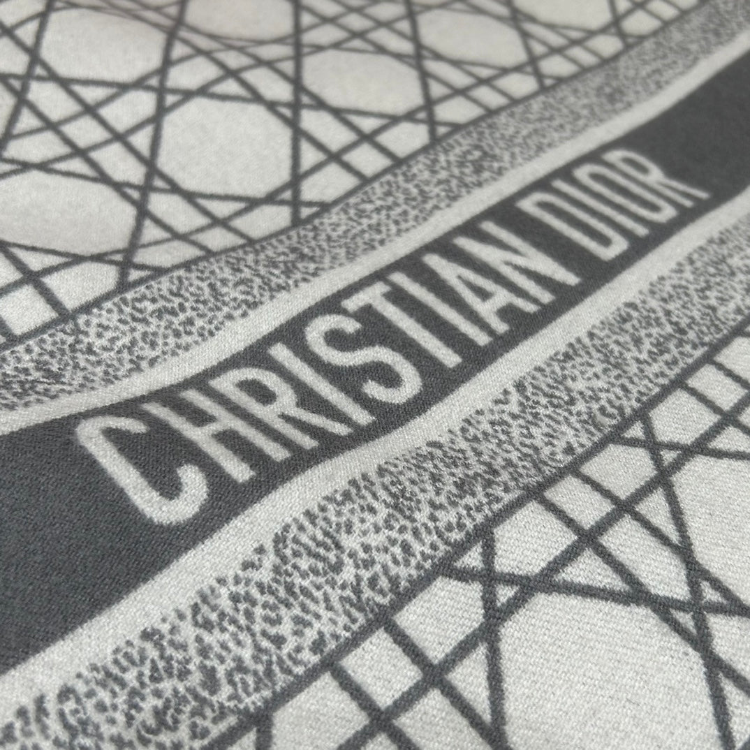 신조 / 디올 스카프