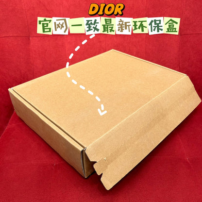 신조 / 디올 스카프