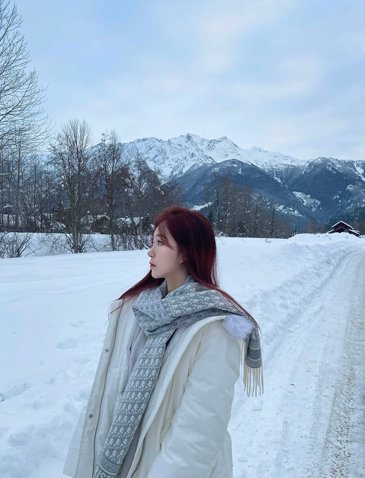 신조 / 디올 스카프