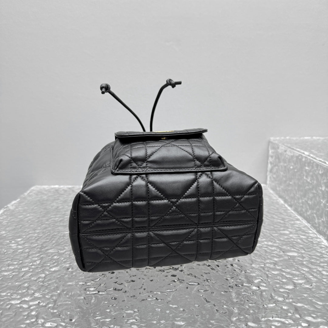 카타 / 디올 물통 가방