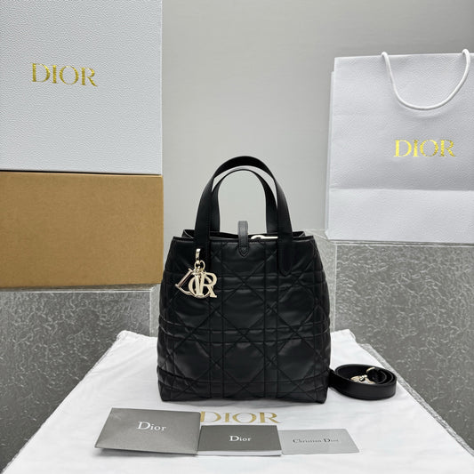 카타 / 디올 가방 핸드백 크로스백