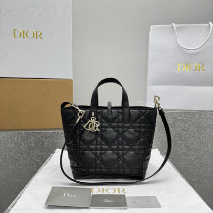 카타 / 디올 가방 핸드백 크로스백