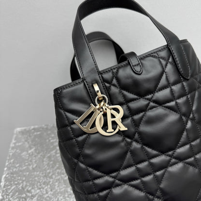 카타 / 디올 가방 핸드백 크로스백