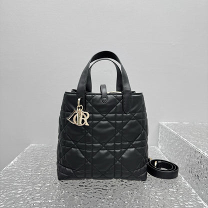 카타 / 디올 가방 핸드백 크로스백