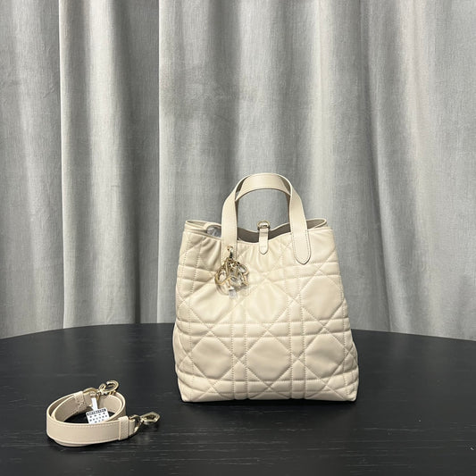 카타 / 디올 세로판 가방