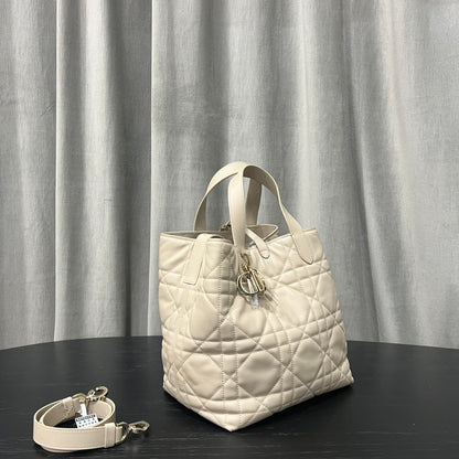 카타 / 디올 세로판 가방