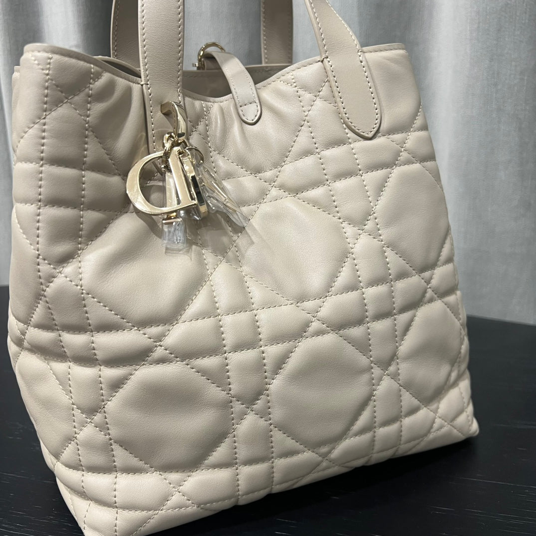 카타 / 디올 세로판 가방