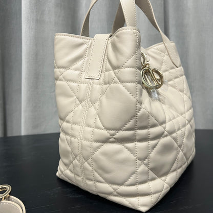 카타 / 디올 세로판 가방