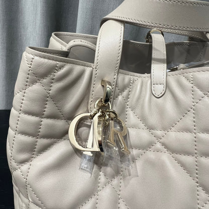 카타 / 디올 세로판 가방