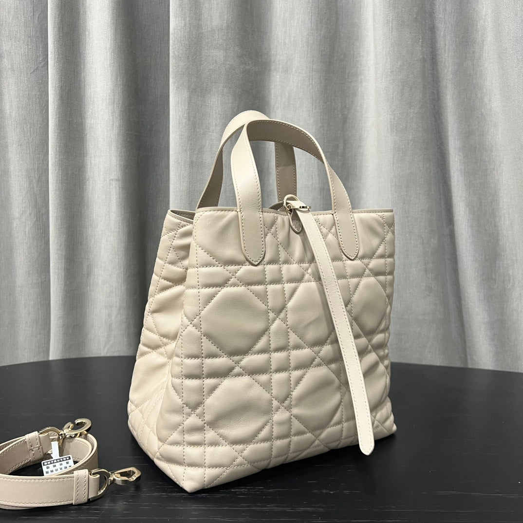 카타 / 디올 세로판 가방