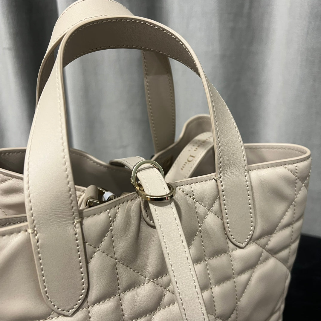 카타 / 디올 세로판 가방