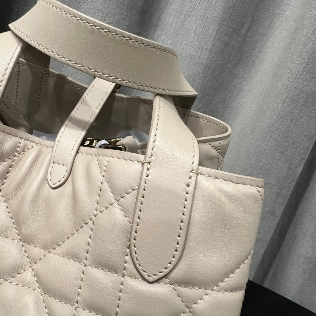 카타 / 디올 세로판 가방