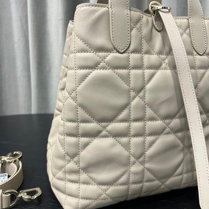 카타 / 디올 세로판 가방