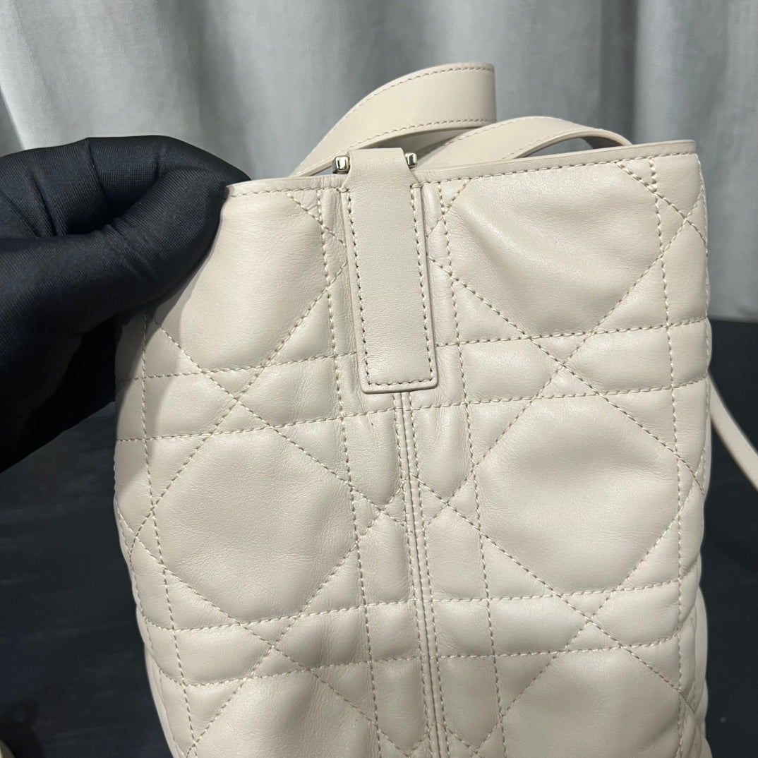 카타 / 디올 세로판 가방