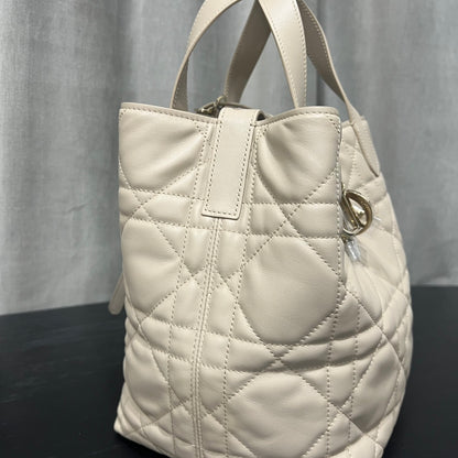 카타 / 디올 세로판 가방