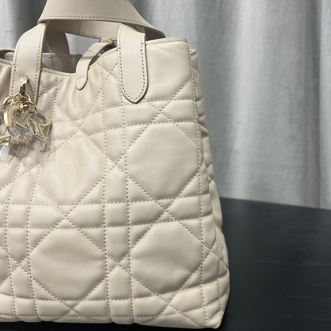 카타 / 디올 세로판 가방