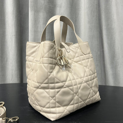 카타 / 디올 세로판 가방